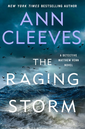 The Raging Storm: A Detective Matthew Venn Novel (Matthew Venn Series, 3)