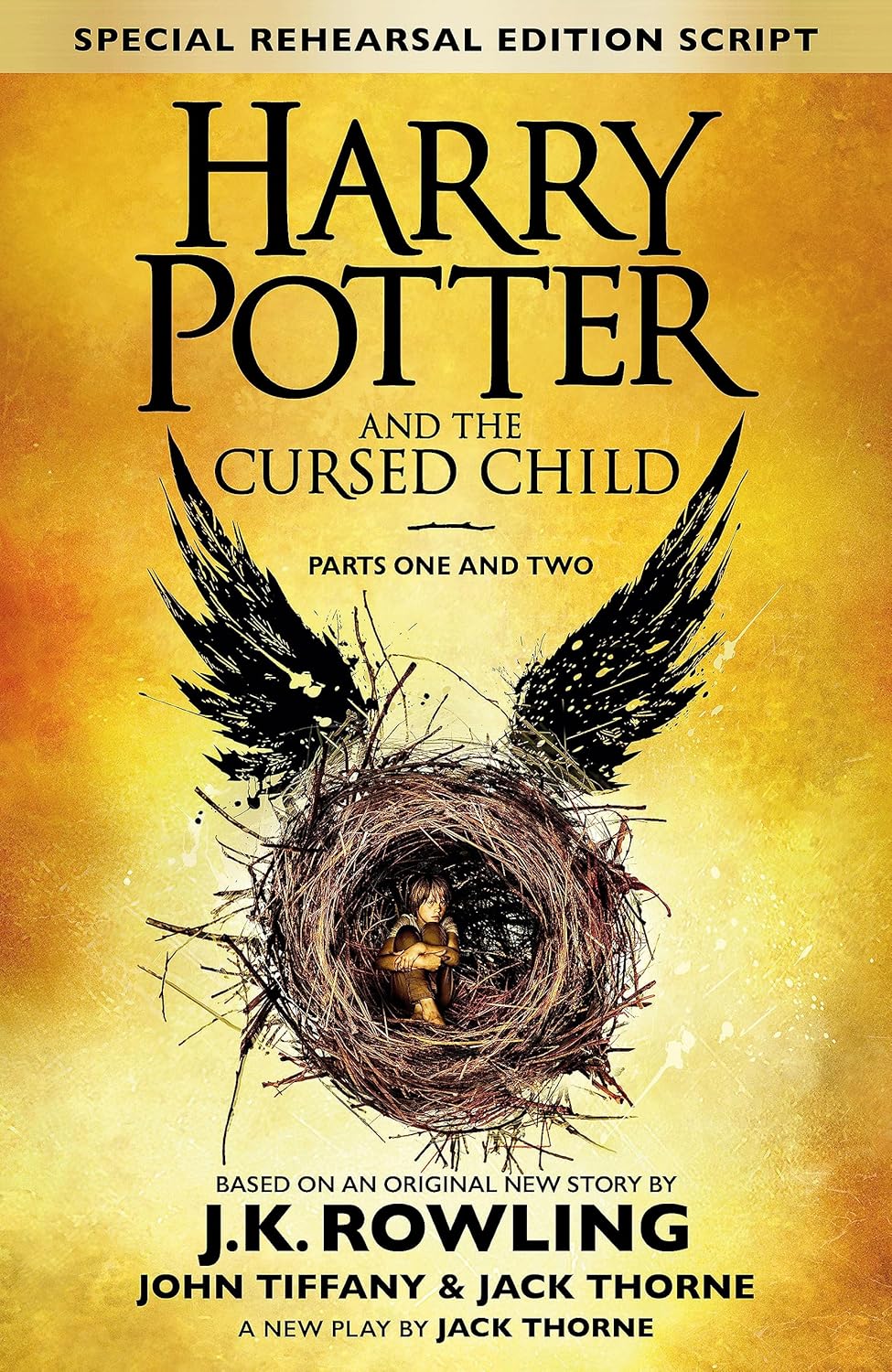 Harry Potter And The Cursed Child (Special Rehearsal Edition Script)
